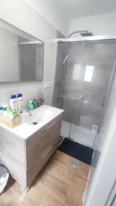 La salle de bains est pourvue d'une douche et d'un lavabo. dans l'établissement La Reina II R&R, à Almería