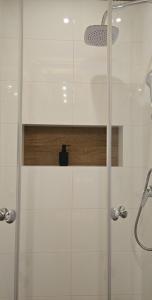 a shower with a glass door in a bathroom at Apartament Pod 12 in Bielsko-Biała