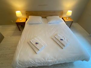 a large white bed with two pillows on it at Fancy 1 bedroom flat in the city center (SF19) in Zurich