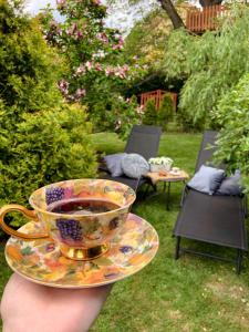 Gallery image of Dom Pod Różami Agroturystyka in Srebrna Góra