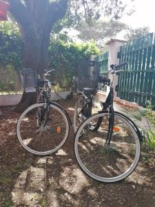 Jízda na kole v ubytování Vacanze degli Sposi nebo okolí