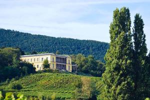 a large building on a hill with trees in front at Pfalz-Dorfhaus in Burrweiler