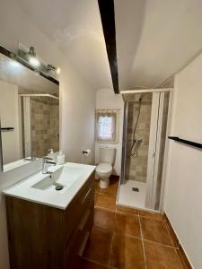 een badkamer met een wastafel, een douche en een toilet bij Casa puebla de Arenoso II Rental Holidays REF.066 in Puebla de Arenoso