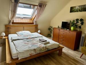 1 dormitorio con 1 cama, vestidor y TV en Haus Alt - Ferienwohnung, en Illingen