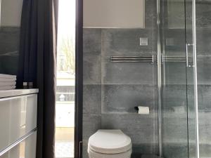 a bathroom with a toilet and a glass shower at Houseboat orange Sneekermeer in Offingawier
