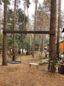 eine Schaukel mitten im Wald in der Unterkunft Domek pod sosnami in Grodziczno