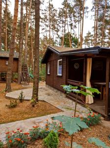 eine Hütte im Wald mit vielen Bäumen in der Unterkunft Domek pod sosnami in Grodziczno