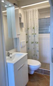 La salle de bains est pourvue d'un lavabo, de toilettes et d'une douche. dans l'établissement Casa Maro, à Brezzo