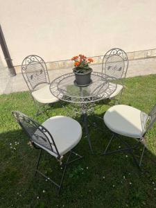 a patio table and chairs with a pot of flowers at Apartmani Marković in Tivat +2 photos