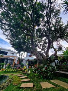 un árbol con escalones delante de una casa en Casa Jardin del Mango, en San José