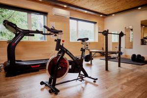 Fitness centrum a/nebo fitness zařízení v ubytování Hotel de l'Horizon