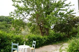 uma mesa e duas cadeiras e uma árvore em Casa Trujala em Segura de la Sierra