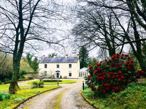 a white house with red flowers on a dirt road at Larchmount House B&B in Derry Londonderry