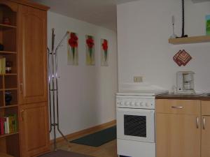 una cucina con piano cottura e fiori rossi sul muro di Ferienwohnung in Domsühl a Domsühl