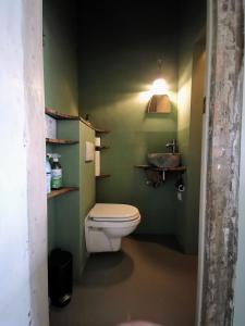 a bathroom with a toilet and a green wall at Slapen aan de Sluis in Utrecht