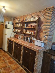 a kitchen with wooden cabinets and a brick wall at Apto-en el Bajo de la casa-estilo rústico en Dílar in Dílar