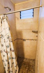 a bathroom with a shower with a shower curtain at Clotilde Depto Completo in Posadas