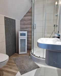 a bathroom with a toilet and a sink and a shower at Dom Pod Różami Agroturystyka in Srebrna Góra