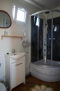La salle de bains est pourvue d'une douche et d'un lavabo. dans l'établissement Bloem & Bed, à Stolpen