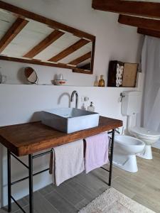 a bathroom with a sink and a toilet at Torre Colombaia in Salsomaggiore Terme