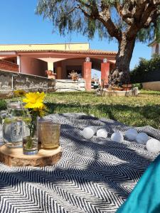 una manta de picnic con una mesa con una flor en un jarrón en Villa Luigi, en Arenella