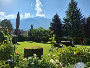 a garden with a view of a mountain at Appartements Haus Olympia in Innsbruck