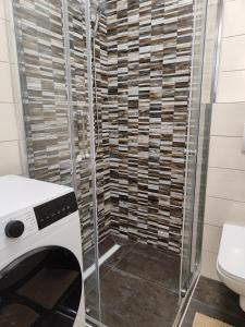 ein Bad mit einer Dusche, einem WC und einer Glastür in der Unterkunft Apartmani Sanja in Teslić