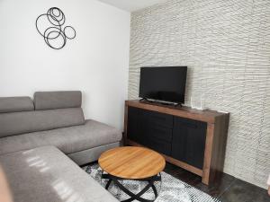 ein Wohnzimmer mit einem Sofa und einem Flachbild-TV in der Unterkunft Apartmani Sanja in Teslić