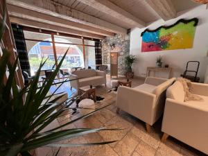 una sala de estar con sofás y una planta en Résidence Cami Réal **** en Saint-Lary-Soulan