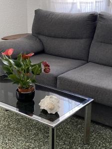 Posezení v ubytování Apartamento con Feng Shui