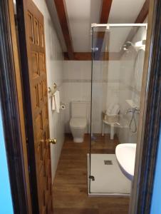 a bathroom with a toilet and a glass shower at Montañes in Santillana del Mar