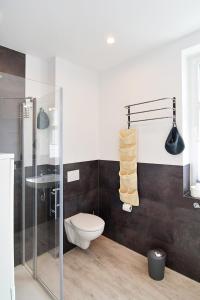 uma casa de banho com um WC e uma cabina de duche em vidro. em Haus Ahlbeck em Ahlbeck