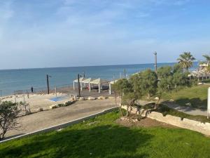 vista su una spiaggia alberata e sull'oceano di Cozy apartment on the beach a Haifa