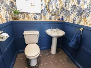 a blue bathroom with a toilet and a sink at The Dairy in Bishop Auckland