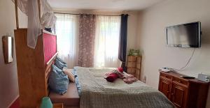 Schlafzimmer mit einem Bett und einem TV an der Wand in der Unterkunft Gemütlichkeit am Vierkanthof - Apartment 1 in Wörterberg