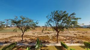 dos árboles en medio de un campo en Casa Principe L - Murcia Holiday Rentals Property en Roldán