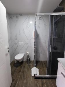 ein Bad mit einer Dusche und einem WC in der Unterkunft Apartman J72 in Ostrovo