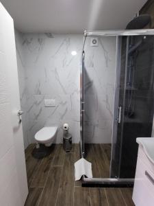 a bathroom with a shower and a toilet at Apartman J72 in Ostrovo +16 photos