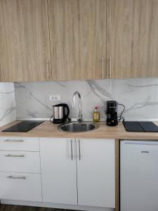 a kitchen with a sink and a counter top at Apartman J72 in Ostrovo