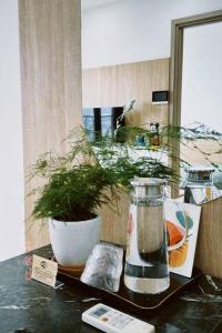 a counter with a vase and a plant on it at Căn hộ 3 phòng ngủ từ 4-6 người, bể bơi, phòng gym, view thành phố in Thôn Văn Dương