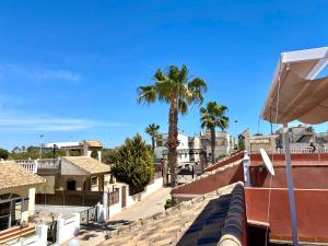 a view from the roof of a house with palm trees at Vrijstaande villa Torrevieja Casa Oeste in Torrevieja