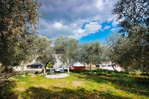 Fotografie z fotogalerie ubytování The Olives Lazarat v destinaci Lazarat