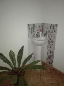 a bathroom with a sink and a plant at Lanka Peter's House Tourist Guest House & Restaurant in Peradeniya