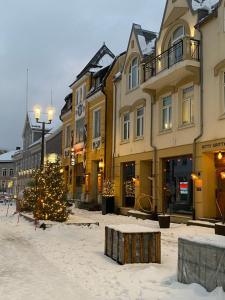 a christmas tree in the snow in front of buildings at The Heart of Tromsø city Apartment in Tromsø