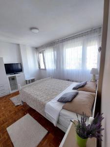 een slaapkamer met een groot bed en een televisie bij Apartman Maja in Banja Luka