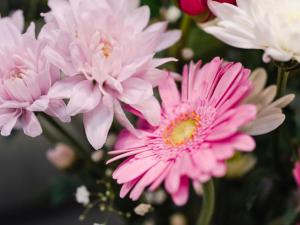 eine Gruppe rosa und weißer Blumen in einer Vase in der Unterkunft Studio Harbour Nights 7B by Interhome in Lossiemouth