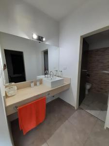 バイアブランカにあるDepto SL74の洗面台と大きな鏡のあるバスルーム