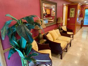 uma sala de estar com um sofá e um vaso de plantas em 7BD 3BA Parking! 2 min drive to Waikiki Beach! em Honolulu