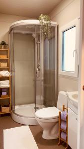 een badkamer met een douche, een toilet en een wastafel bij MAGNOLIA HOUSE by the RIVER in Metlika