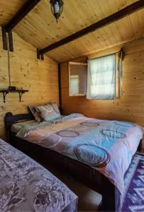 a bedroom with a bed in a wooden cabin at Camping Mala Clisura Dunării in Eşelniţa